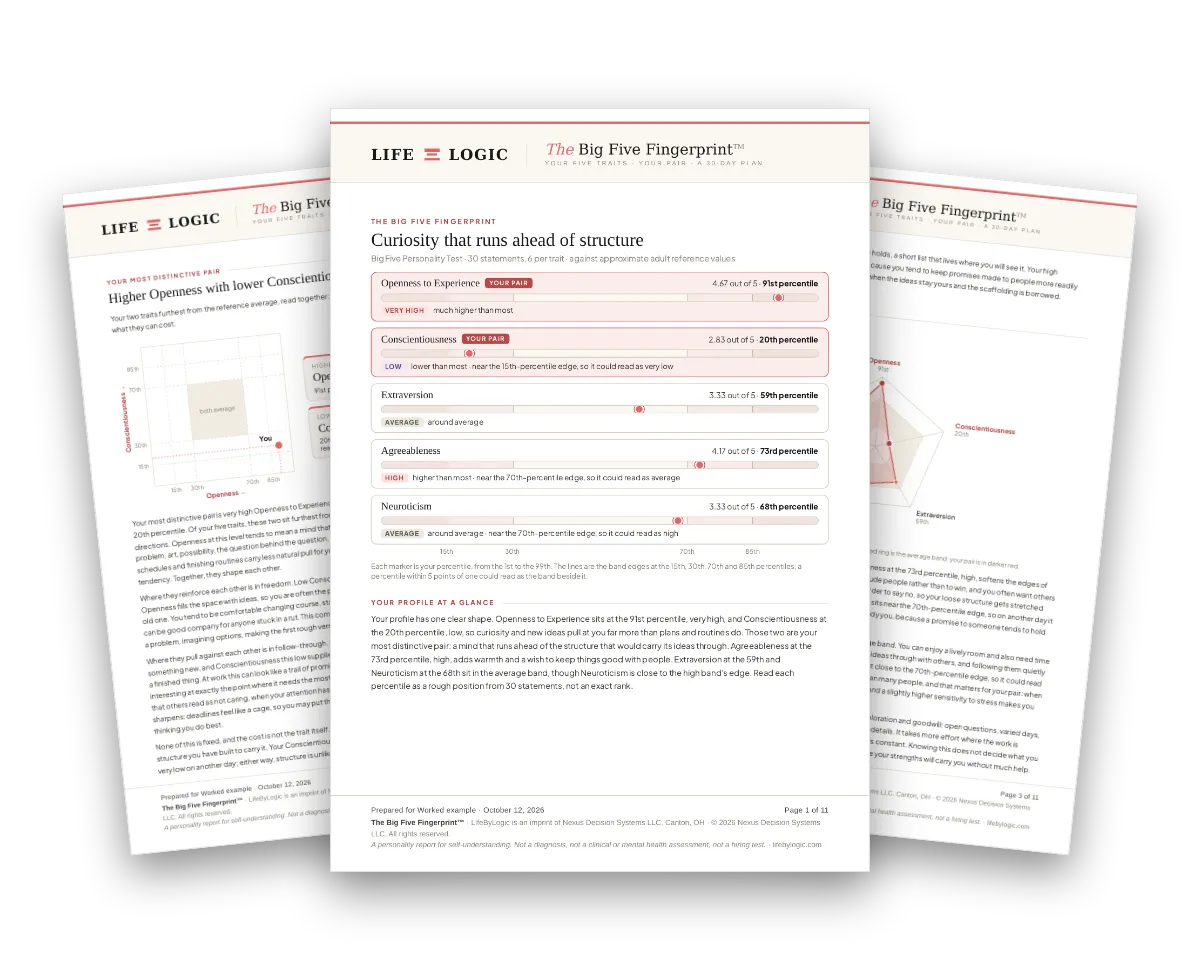 The cover and two inside pages of a worked example of The Big Five Fingerprint