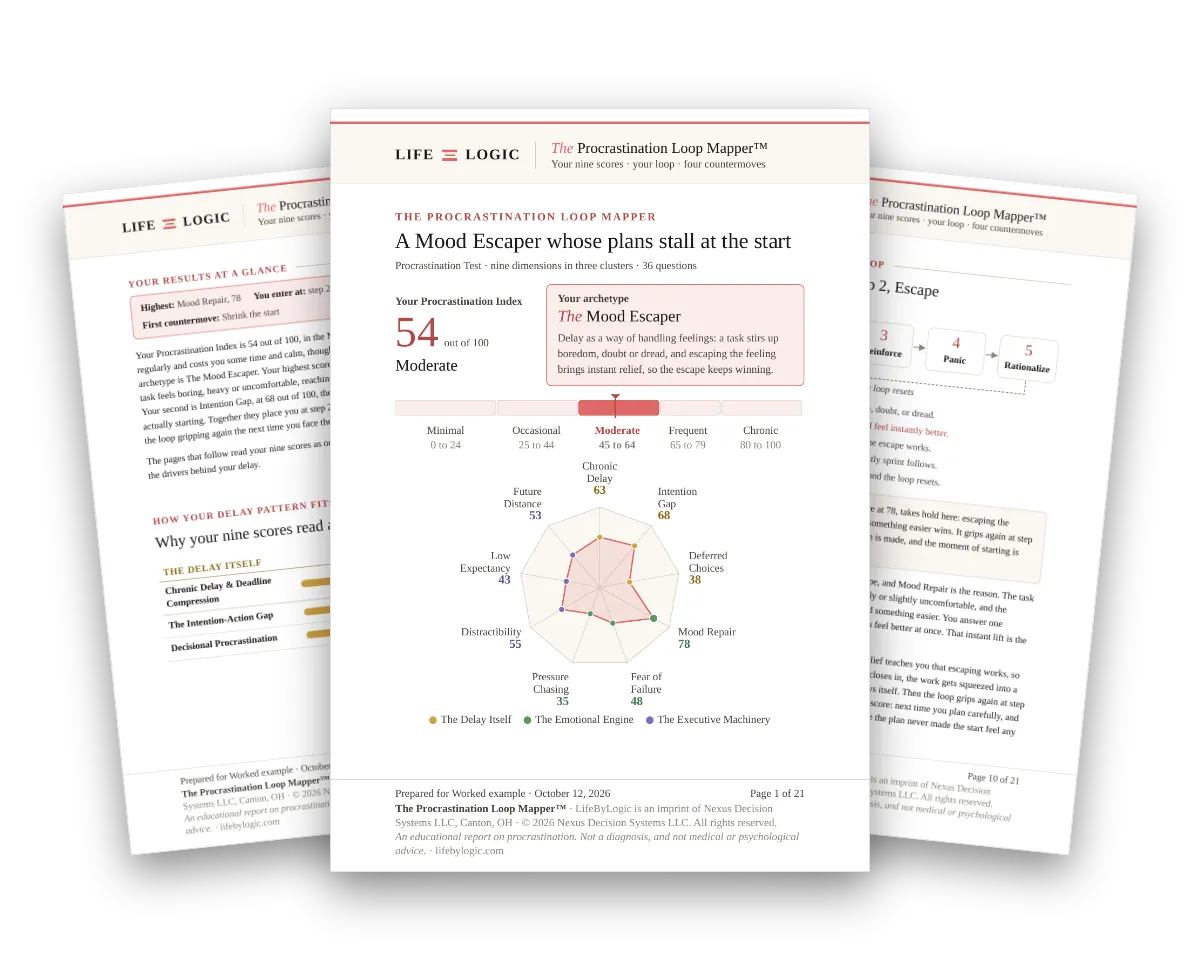 The cover and two inside pages of a worked example of The Procrastination Loop Mapper